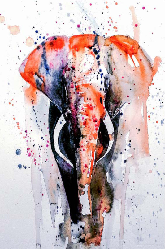 Leinwandbild Watercolor Elefant