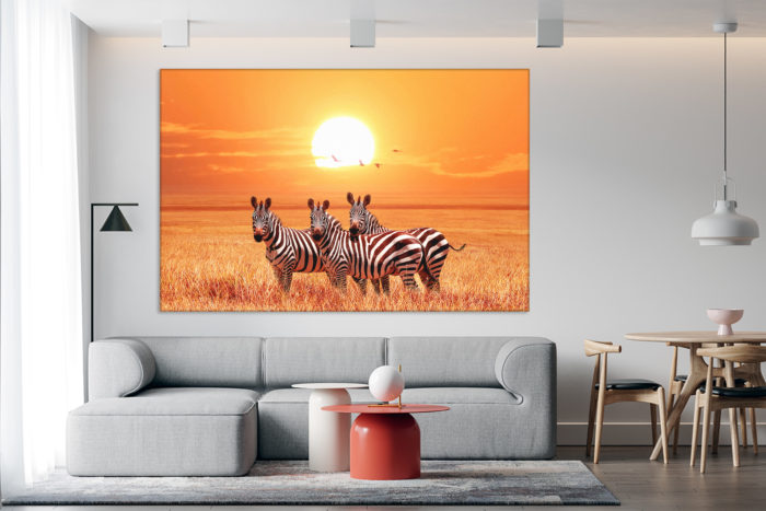 Leinwandbild Zebra Wall Art