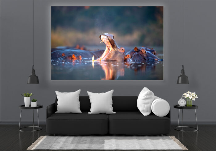 Aludibondbild Nilpferd – Bild 2